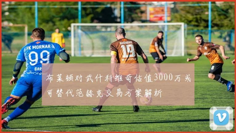 布莱顿对武什科维奇估值3000万或可替代范赫克交易方案解析